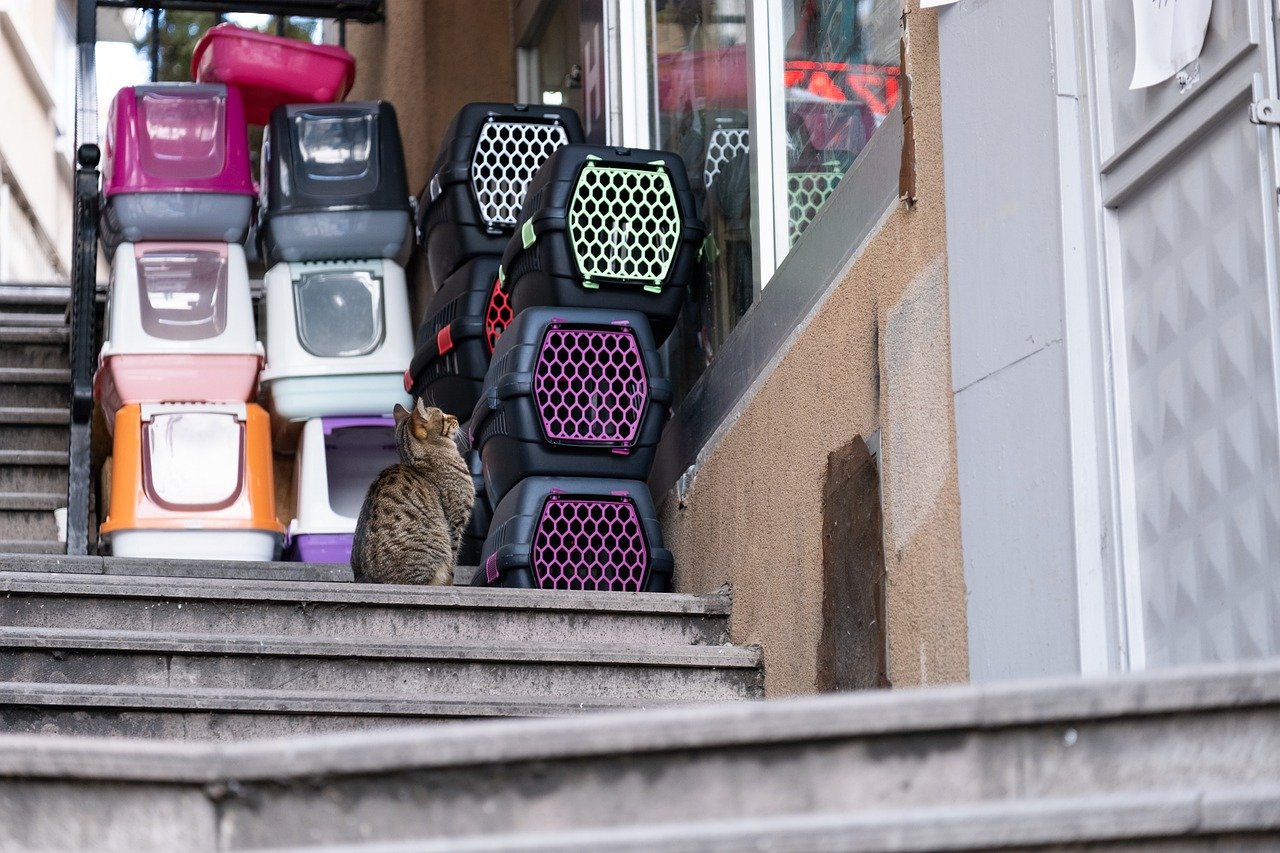 A variety of litter box types