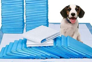 Dog-With-Potty-Pads