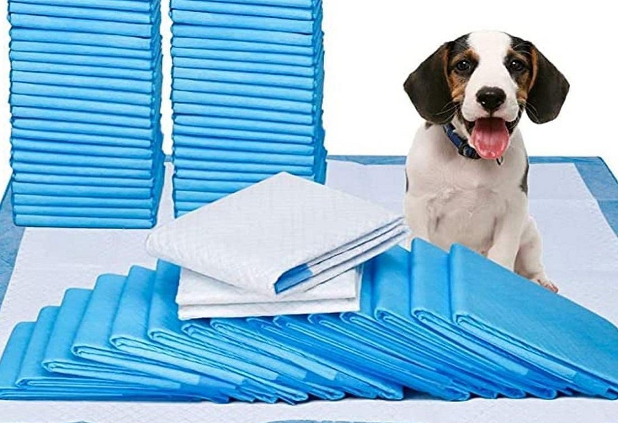 Dog-With-Potty-Pads