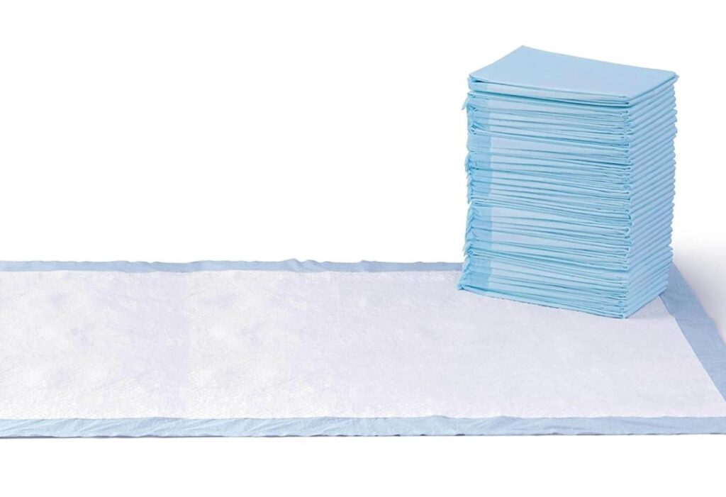 Train Your Dog to Use Indoor Potty Pads